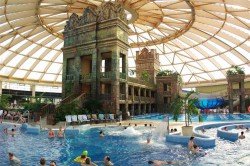 Aqua world